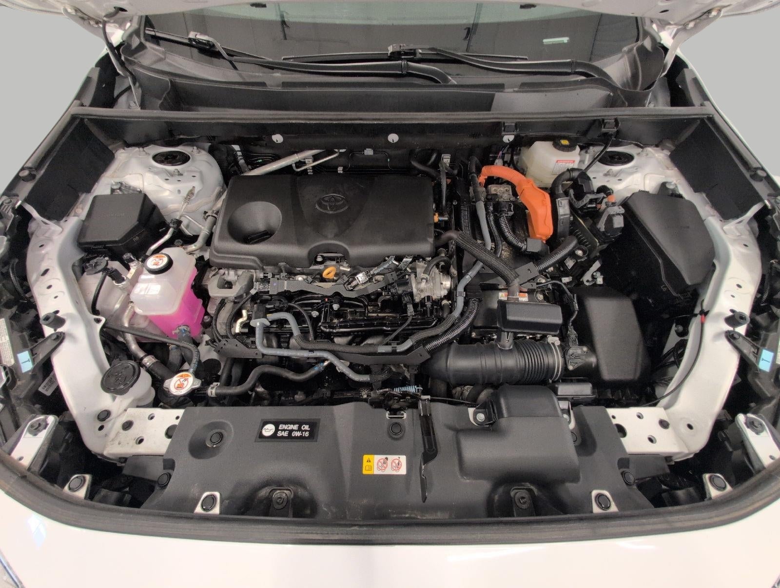 2025 Toyota RAV4 Hybrid LE AWD